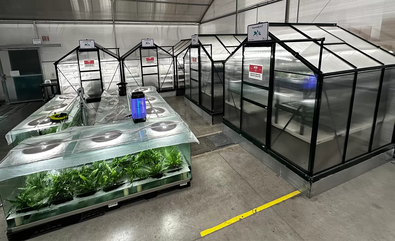 Control de Inventario para Invernadero